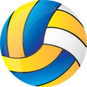 Volly balls